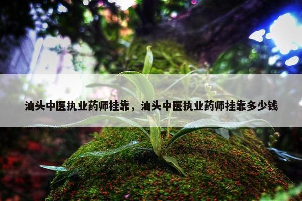 汕头中医执业药师挂靠，汕头中医执业药师挂靠多少钱