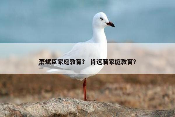 萧斌臣家庭教育？ 肖远骑家庭教育？