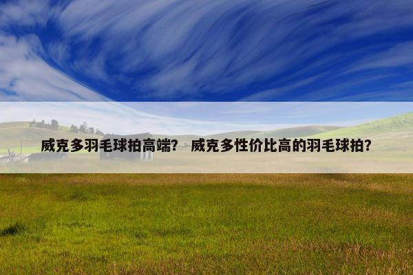 威克多羽毛球拍高端？ 威克多性价比高的羽毛球拍？