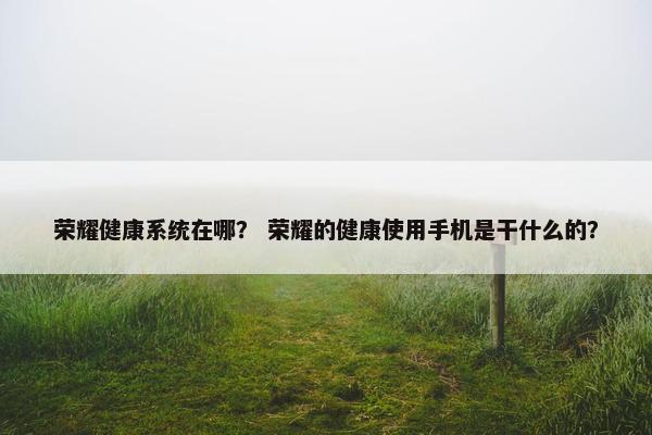 荣耀健康系统在哪？ 荣耀的健康使用手机是干什么的？