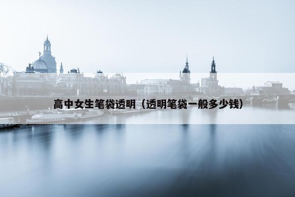高中女生笔袋透明（透明笔袋一般多少钱）
