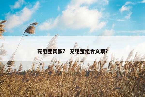 充电宝闺蜜？ 充电宝组合文案？