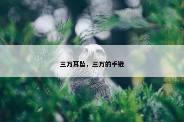 三万耳坠，三万的手链