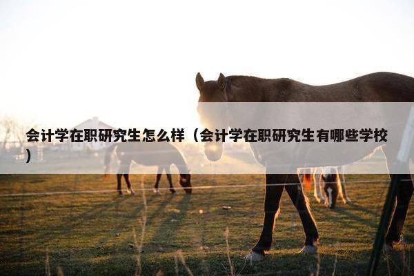 会计学在职研究生怎么样（会计学在职研究生有哪些学校）