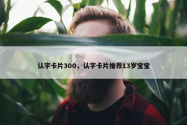 认字卡片300，认字卡片推荐13岁宝宝