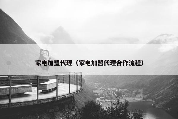 家电加盟代理（家电加盟代理合作流程）