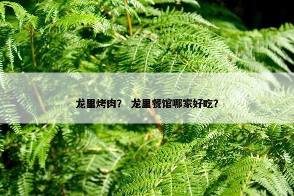 龙里烤肉？ 龙里餐馆哪家好吃？