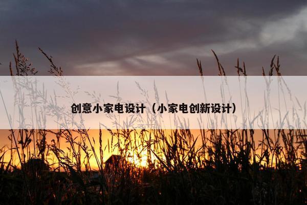 创意小家电设计（小家电创新设计）