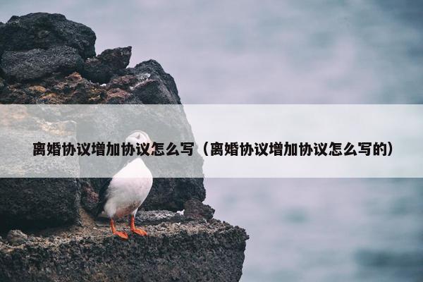 离婚协议增加协议怎么写（离婚协议增加协议怎么写的）