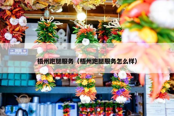梧州跑腿服务（梧州跑腿服务怎么样）