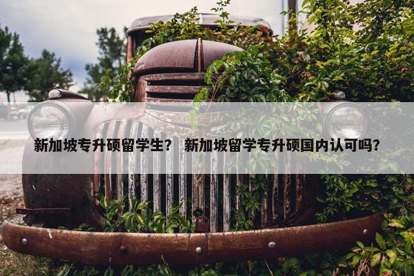 新加坡专升硕留学生？ 新加坡留学专升硕国内认可吗？