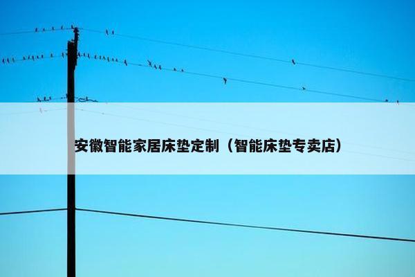 安徽智能家居床垫定制（智能床垫专卖店）