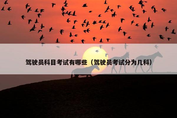 驾驶员科目考试有哪些（驾驶员考试分为几科）
