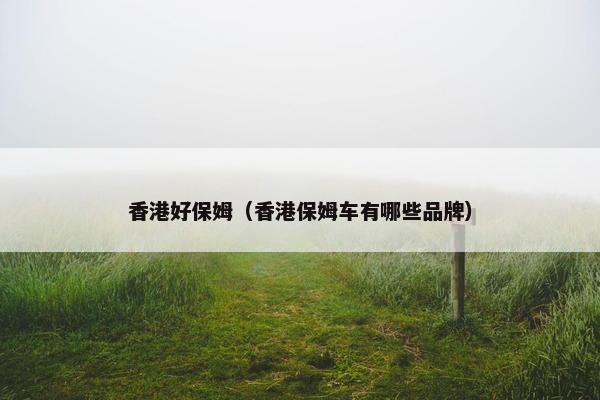 香港好保姆（香港保姆车有哪些品牌）