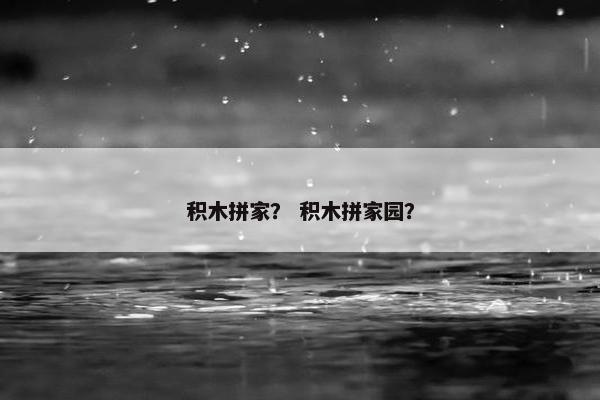 积木拼家？ 积木拼家园？