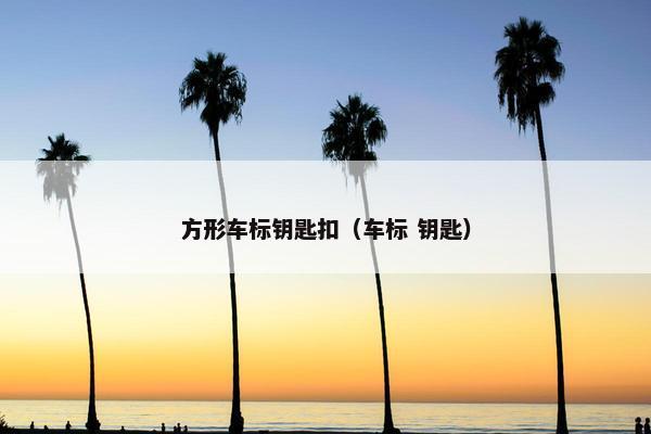 方形车标钥匙扣（车标 钥匙）
