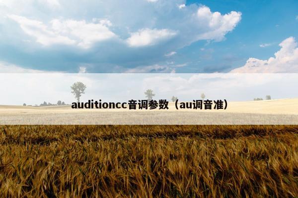 auditioncc音调参数（au调音准）