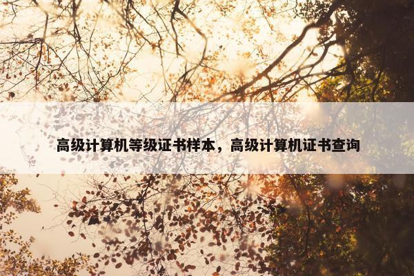 高级计算机等级证书样本，高级计算机证书查询