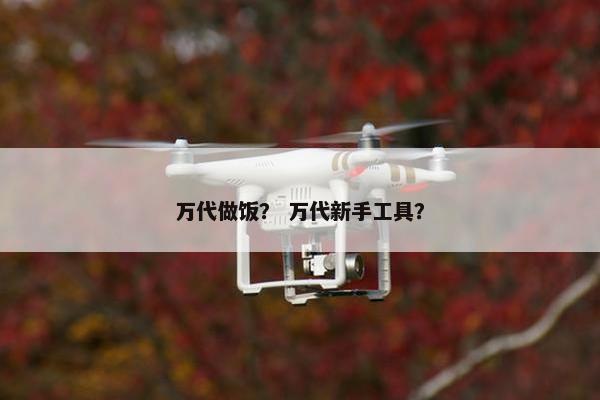 万代做饭？ 万代新手工具？