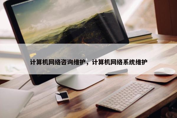 计算机网络咨询维护，计算机网络系统维护