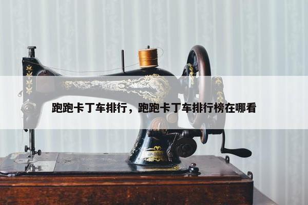 跑跑卡丁车排行，跑跑卡丁车排行榜在哪看