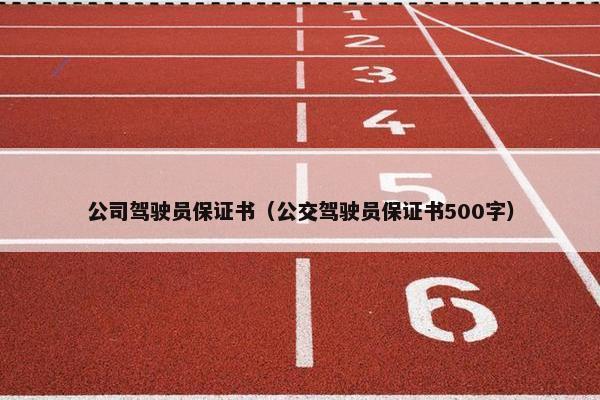公司驾驶员保证书（公交驾驶员保证书500字）