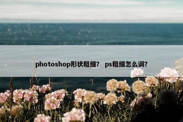 photoshop形状粗细？ ps粗细怎么调？