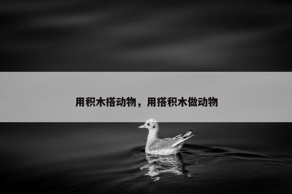 用积木搭动物，用搭积木做动物