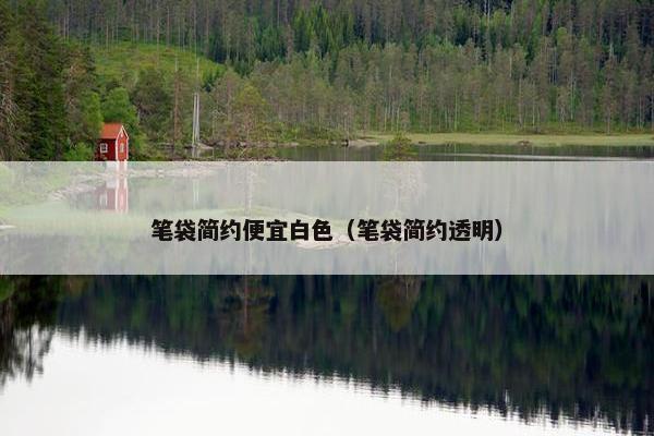 笔袋简约便宜白色（笔袋简约透明）