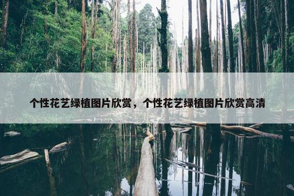 个性花艺绿植图片欣赏，个性花艺绿植图片欣赏高清