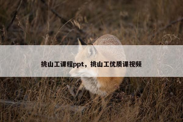挑山工课程ppt，挑山工优质课视频