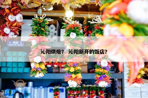 沁阳烘焙？ 沁阳新开的饭店？