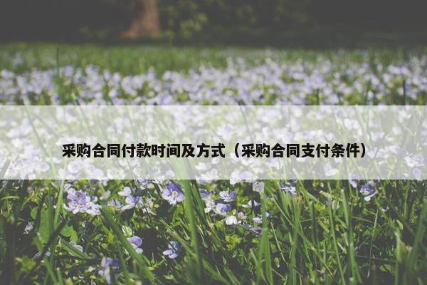 采购合同付款时间及方式（采购合同支付条件）
