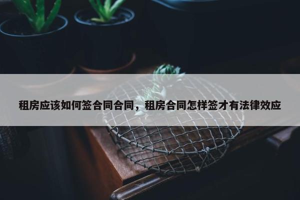 租房应该如何签合同合同，租房合同怎样签才有法律效应