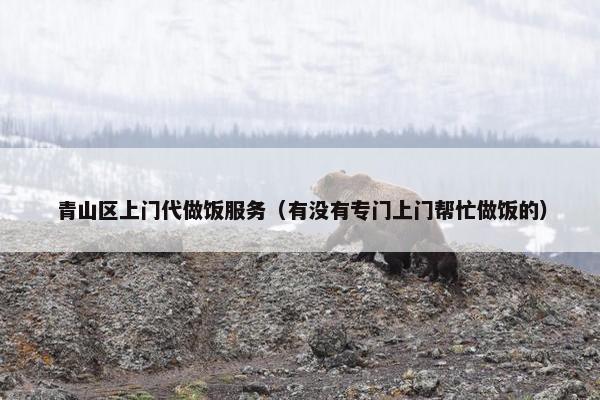 青山区上门代做饭服务（有没有专门上门帮忙做饭的）