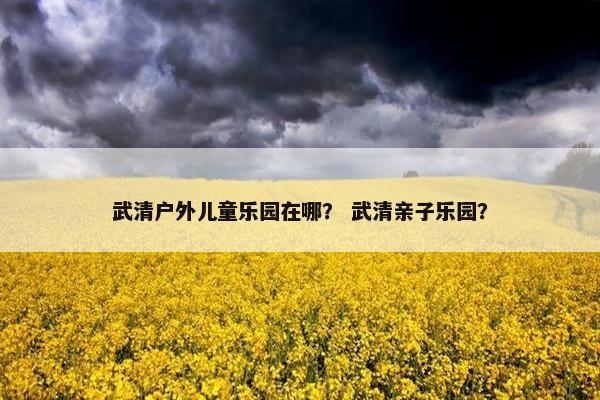 武清户外儿童乐园在哪? 武清亲子乐园? 武清户外儿童乐园在哪? 武清亲子乐园?