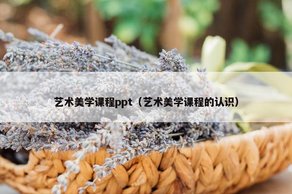 艺术美学课程ppt（艺术美学课程的认识）