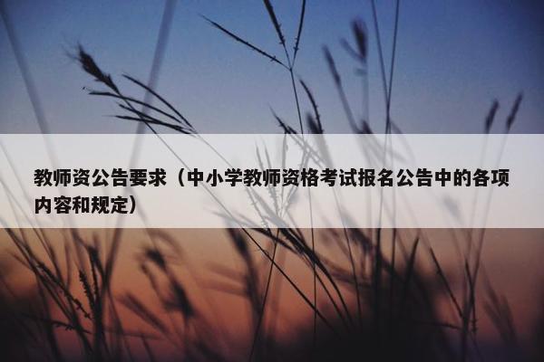 教师资公告要求（中小学教师资格考试报名公告中的各项内容和规定）