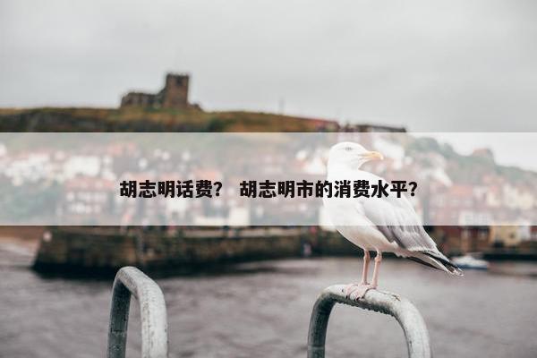 胡志明话费？ 胡志明市的消费水平？