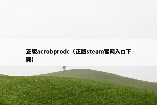 正版acrobprodc（正版steam官网入口下载）