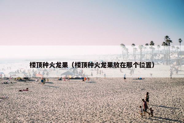 楼顶种火龙果(楼顶种火龙果放在那个位置) 楼顶种火龙果(楼顶种火龙果放在那个位置)