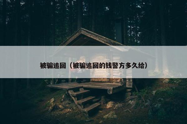 被骗追回（被骗追回的钱警方多久给）