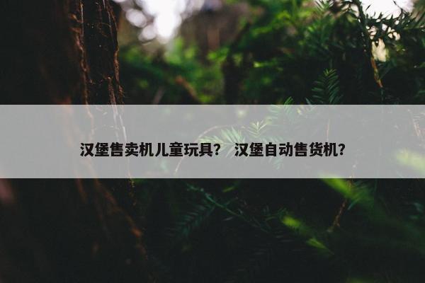 汉堡售卖机儿童玩具？ 汉堡自动售货机？