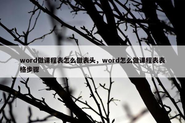 word做课程表怎么做表头，word怎么做课程表表格步骤
