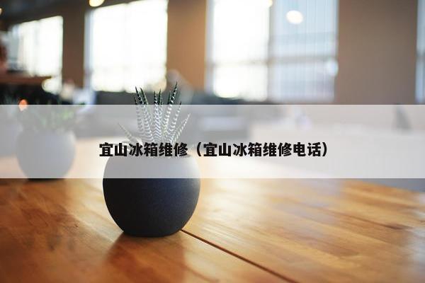 宜山冰箱维修（宜山冰箱维修电话）