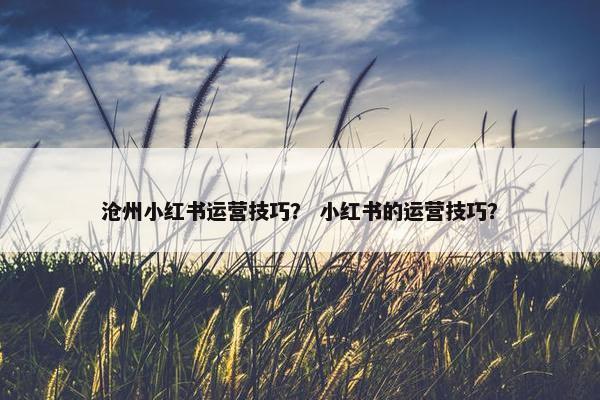 沧州小红书运营技巧？ 小红书的运营技巧？