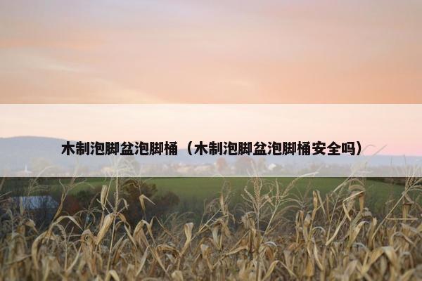 木制泡脚盆泡脚桶（木制泡脚盆泡脚桶安全吗）