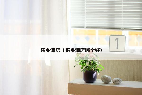 东乡酒店（东乡酒店哪个好）