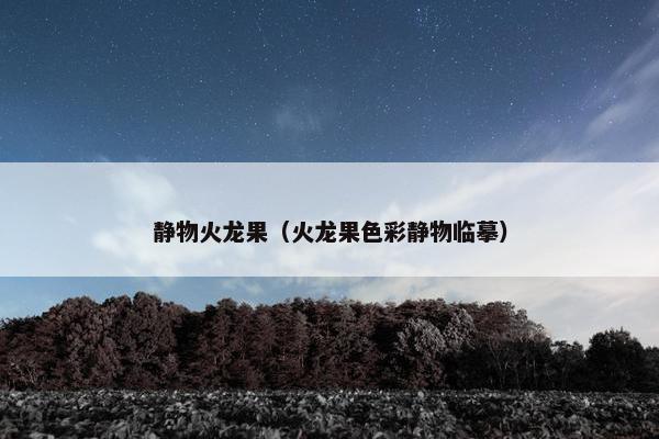 静物火龙果（火龙果色彩静物临摹）