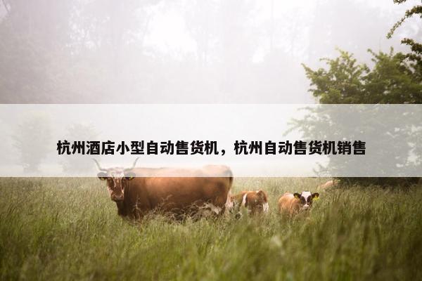杭州酒店小型自动售货机，杭州自动售货机销售